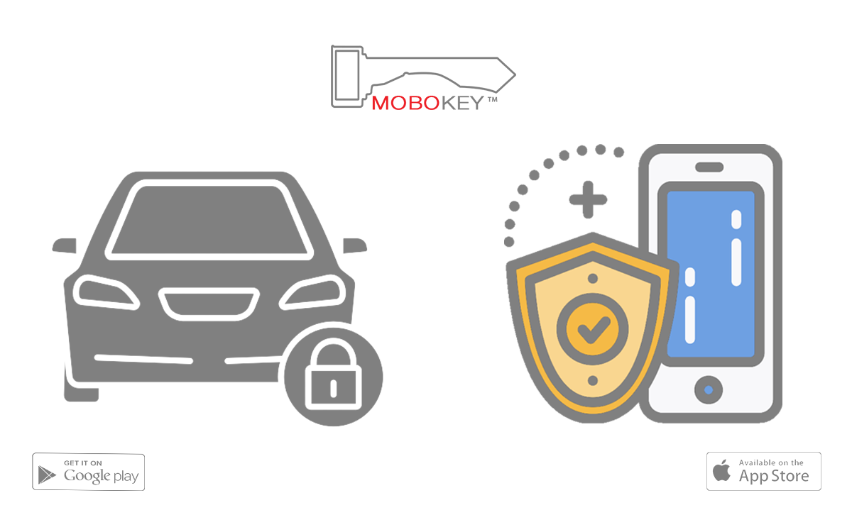 security for car owners