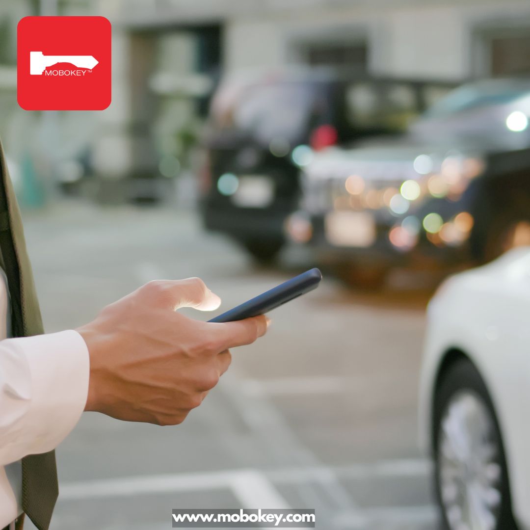 The Flexibility Factor Keyless Car Sharing Options with Hourly Rental Rates